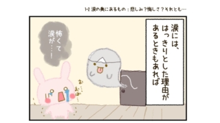Thumbnail of post image 106